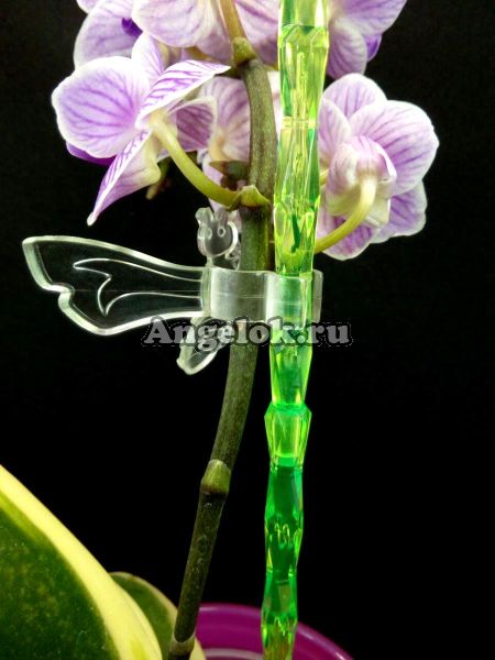 фото Опора пластиковая для орхидей Диамант зеленая от магазина магазина орхидей Ангелок